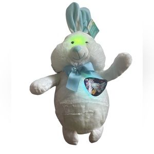 Color-Changing Easter Bunny Stuffed Plush Animal